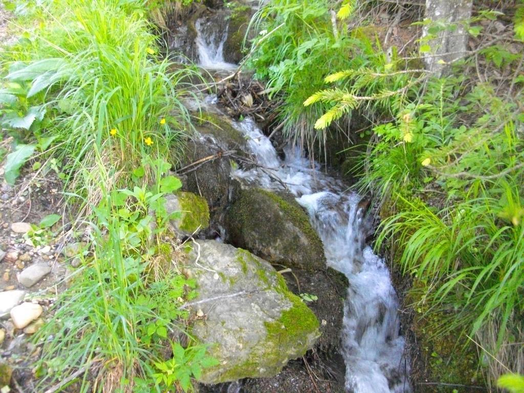Gostilna Pension Blegos Poljane nad Skofjo Loko Luaran gambar