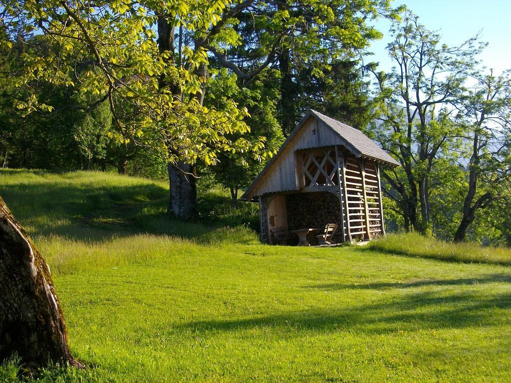 Gostilna Pension Blegos Poljane nad Skofjo Loko Luaran gambar